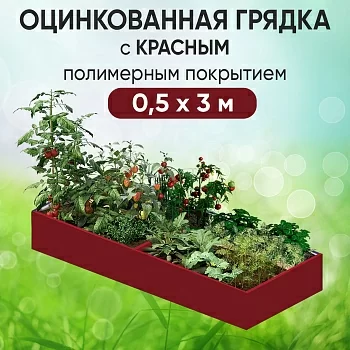 Грядка красная (0,5 х 3)